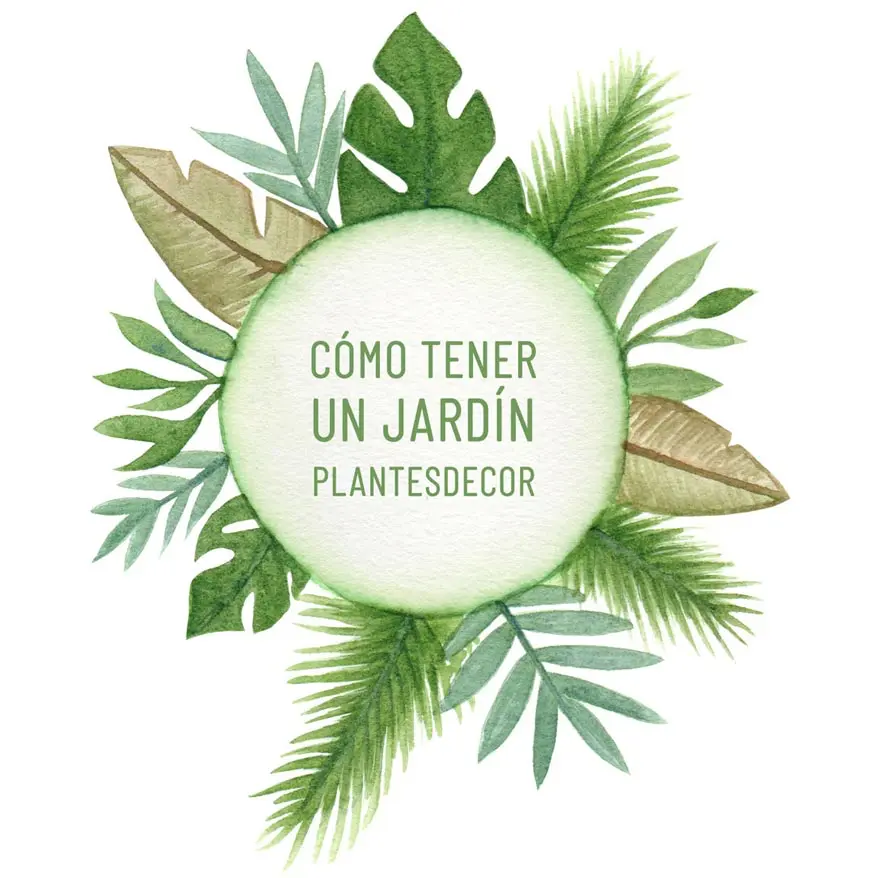 acuarela con plantas