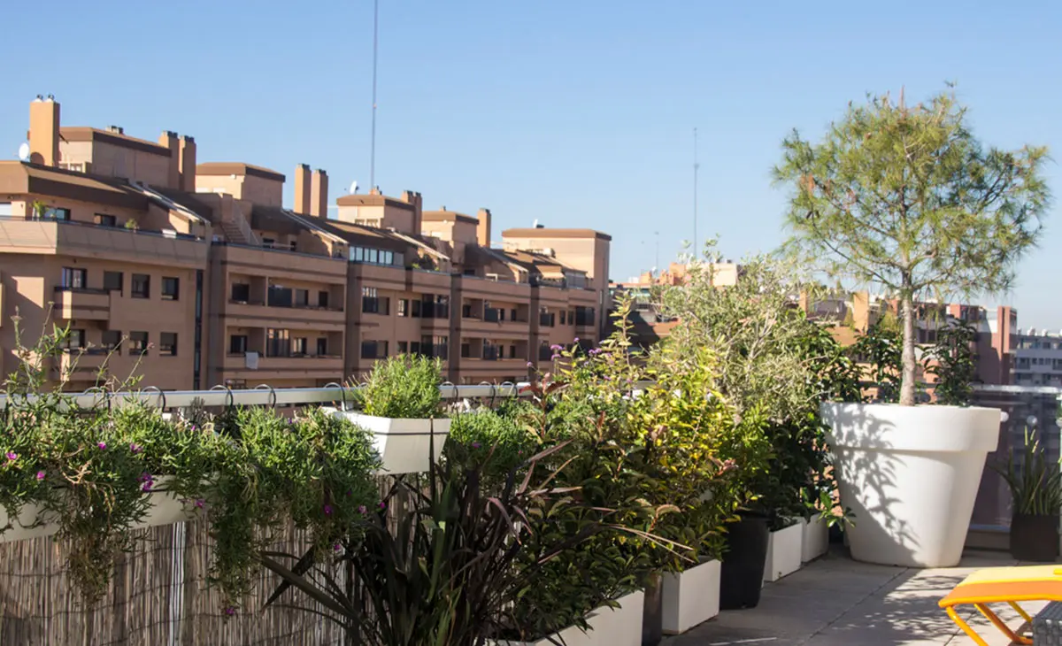 jardín en ático