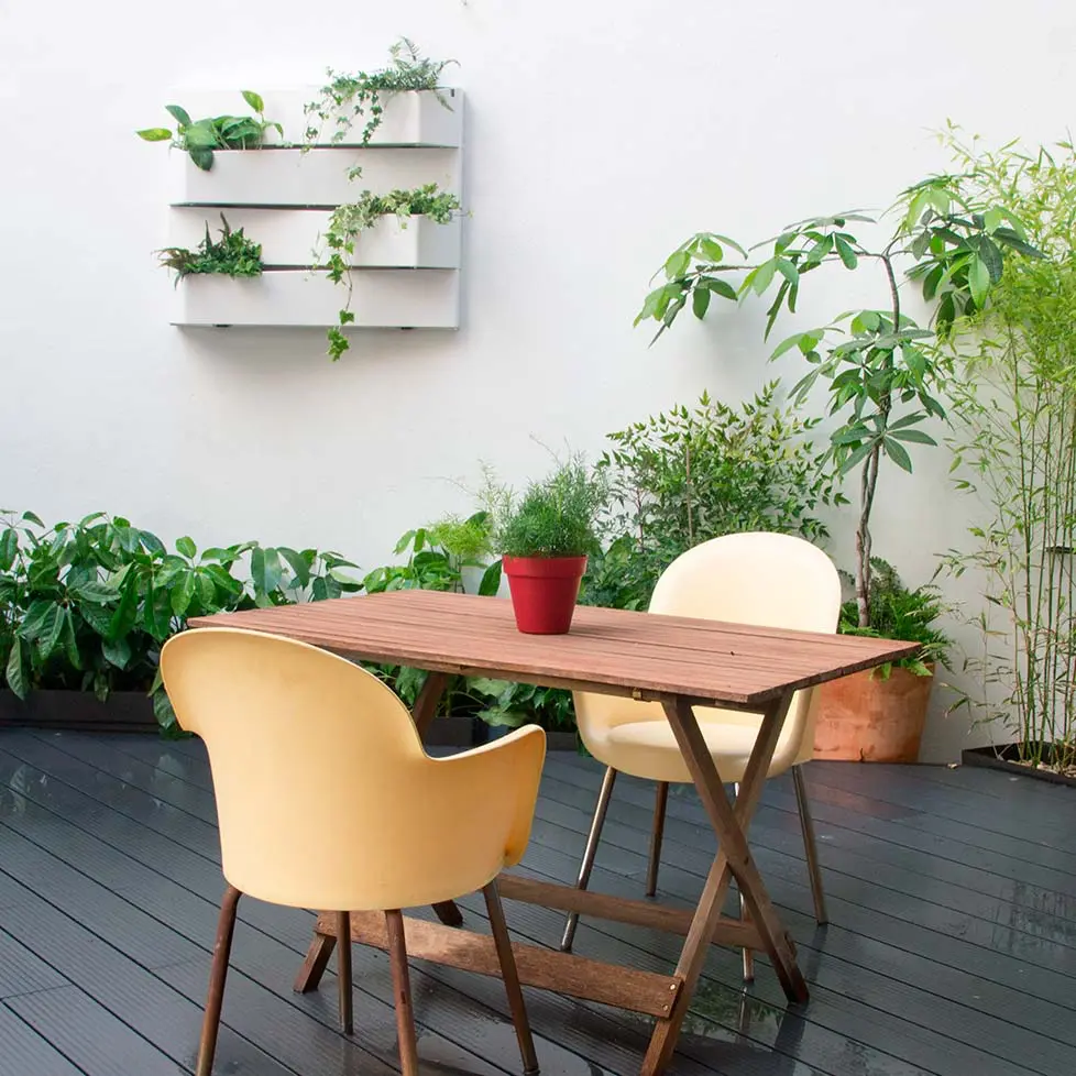 jardín en patio interior