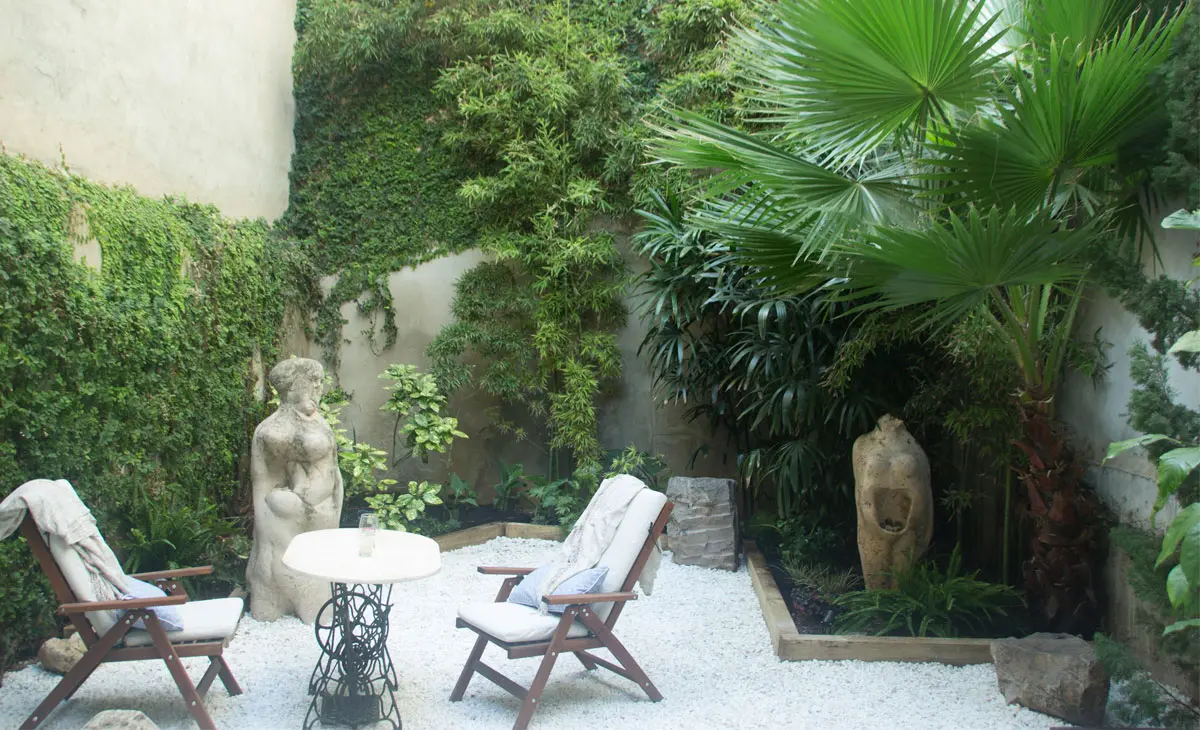 plantas en terraza de patio interior