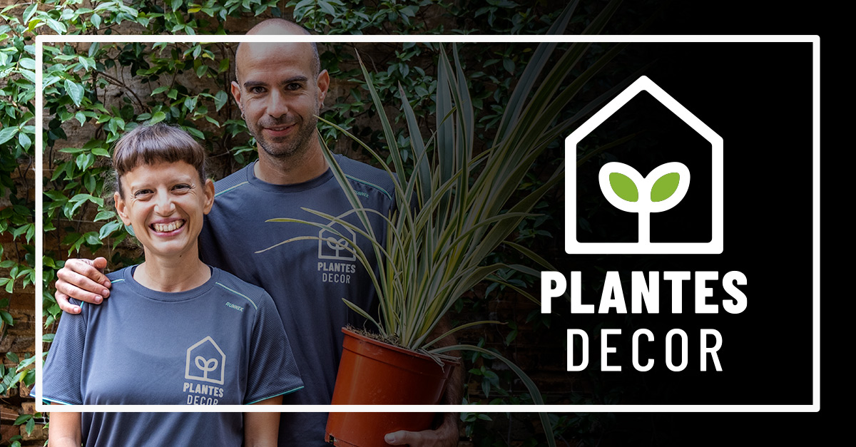 Plantesdecor. Paisajismo y jardinería. Diseñamos tu jardín en Valencia, jardinería y paisajismo en Valencia