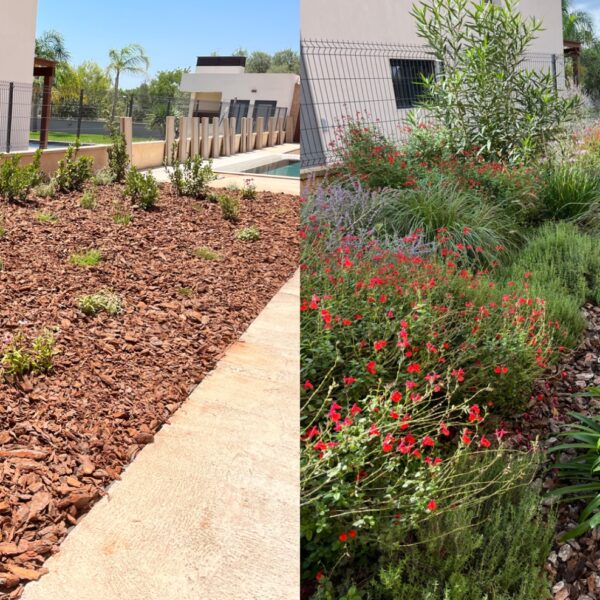 jardín con plantas mediterraneas